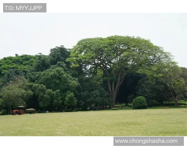 马来西亚与斯里兰卡激战正酣谁能在友谊赛中笑到最后 马来西亚与斯里兰卡激战正酣谁能在友谊赛中笑到最后